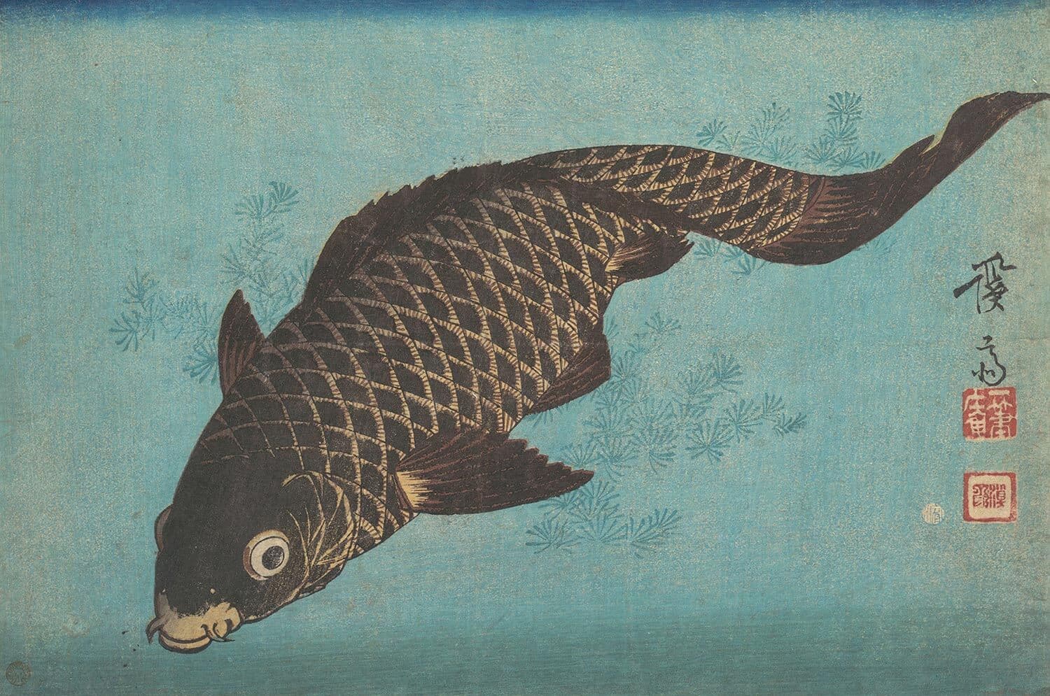 Python数据分析入门